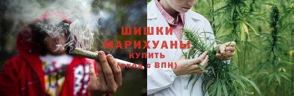 шишки Ростов