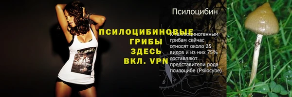 ECSTASY Рославль