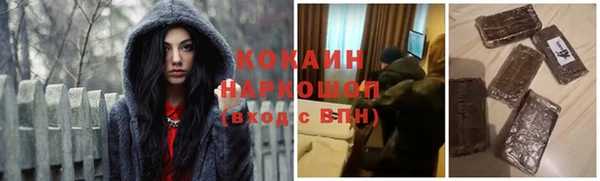 шишки Ростов