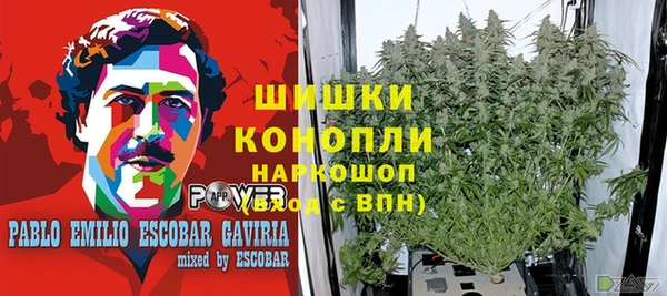 шишки Россошь