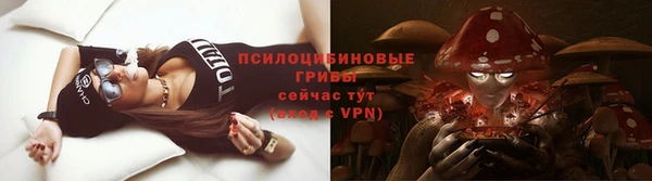 шишки Россошь