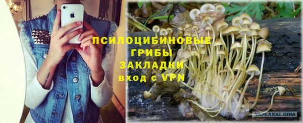шишки Россошь