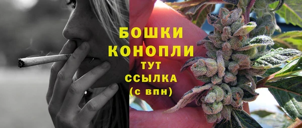 ECSTASY Рославль