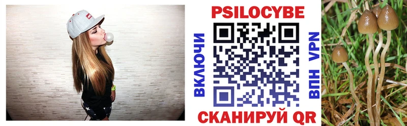 Купить где  Пикалёво  Галлюциногенные грибы прущие грибы 